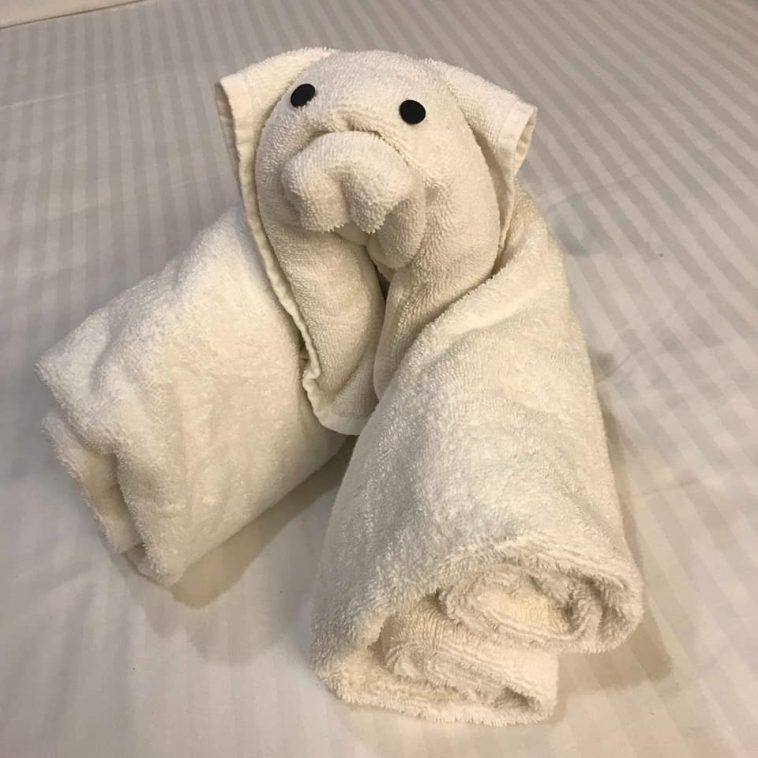 20 Best Hotel Towel Designs! Online Scoops