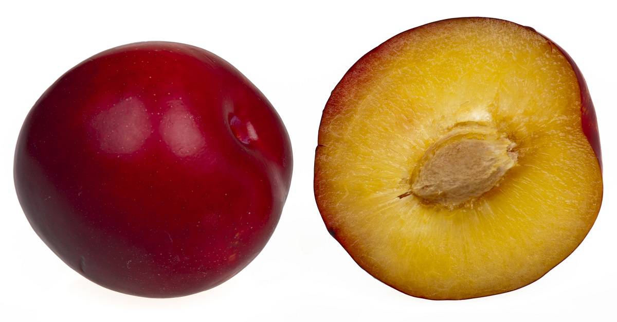 plum-nutrition-facts-online-scoops