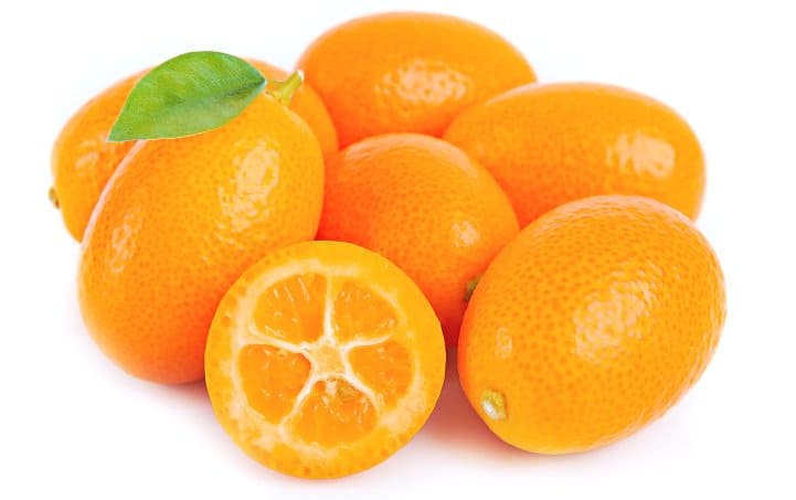 Kumquat Nutrition Facts Online Scoops