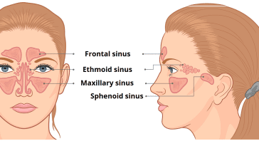 sinus treatment in ayurveda